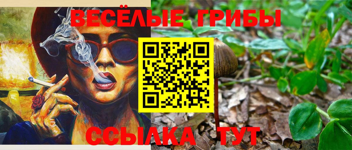 Галлюциногенные грибы прущие грибы Шатура