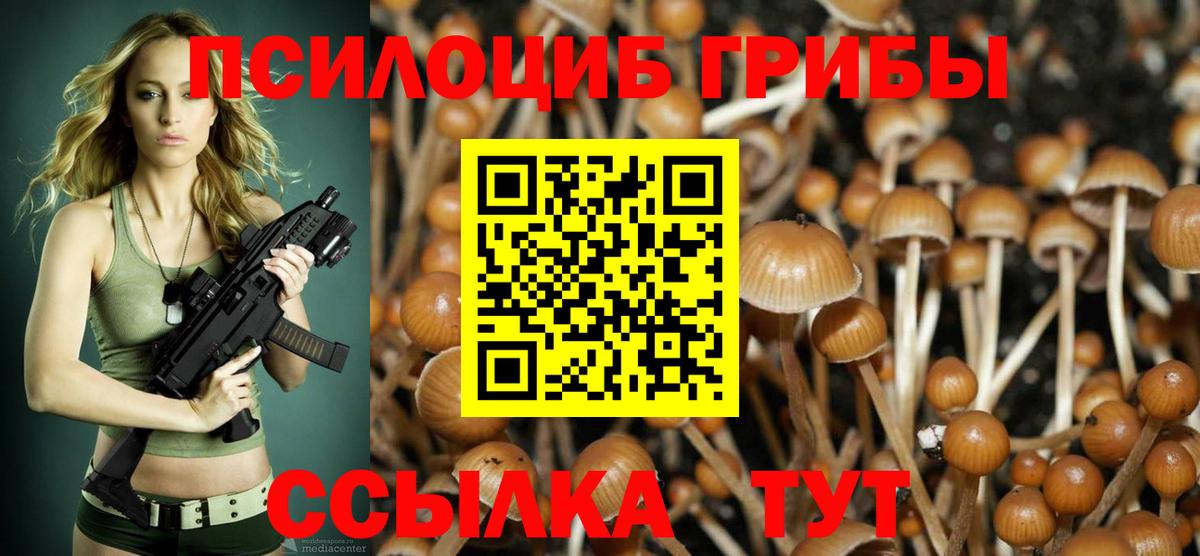 Шатура  Псилоцибиновые грибы Psilocybe  Галлюциногенные грибы Psilocybine cubensis  Вход с VPN 